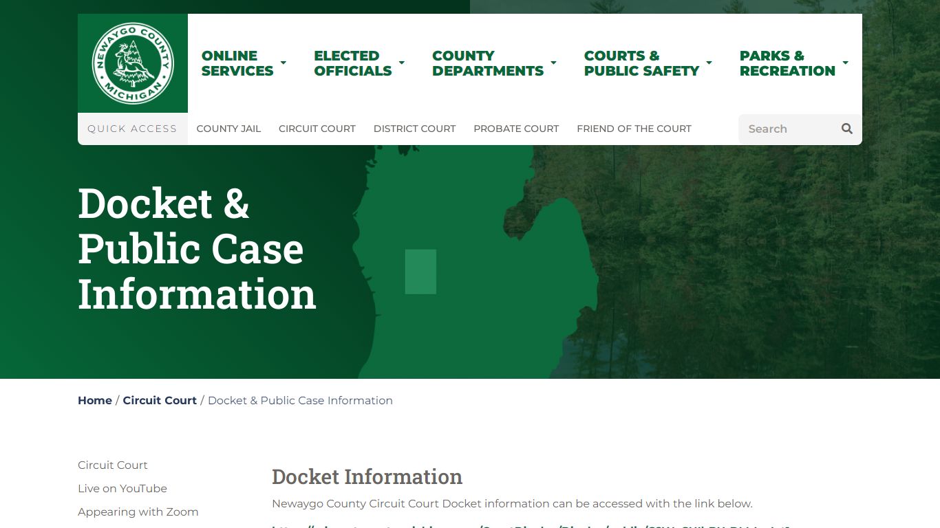 Docket & Public Case Information - Newaygo County